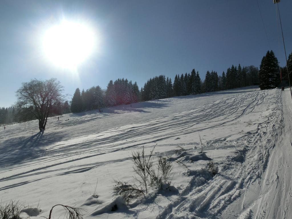 Ferienwohnung "Kleines Glueck" In Winterberg-Niedersfeld Luaran gambar